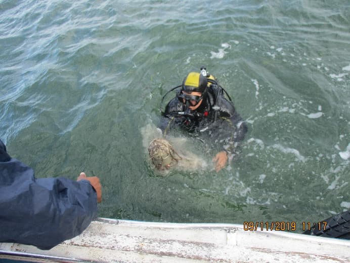 Service image 1